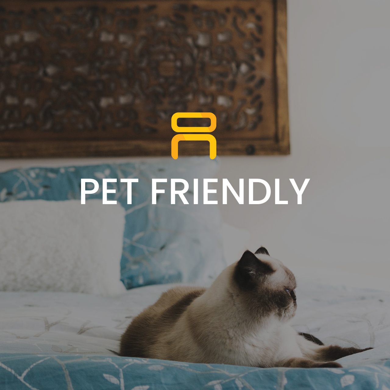 Pet Friendly Furniture